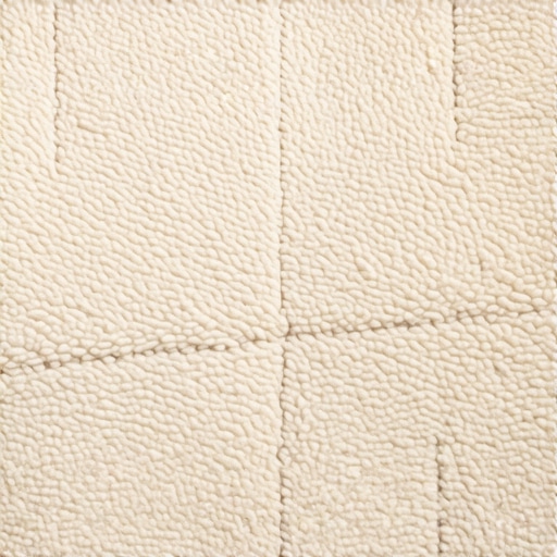 The 'Invisible' Carpet Patch for Pet Damage