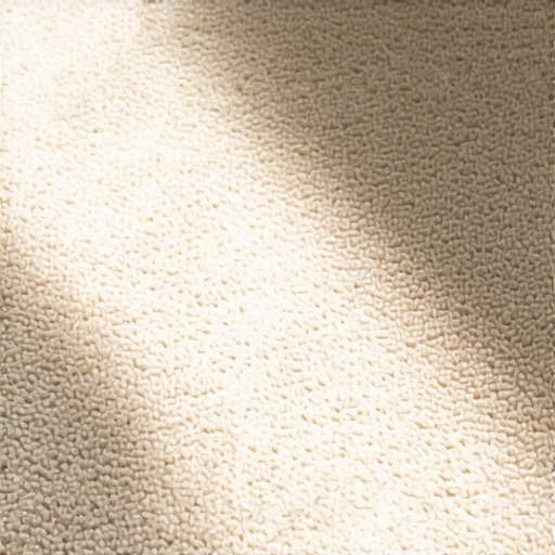 5 carpet seaming errors that show up in bright daylight